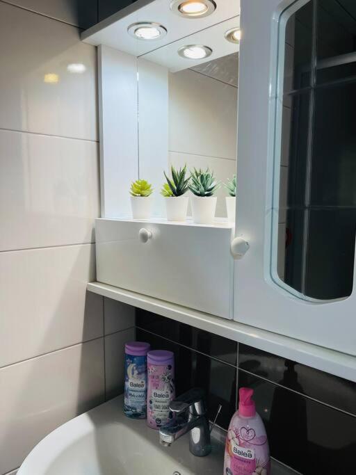 Apartamento New Modern Rooftop Apartment-free Private Parking Skopie